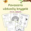 Pavasario užduotys 3-4 metų vaikams