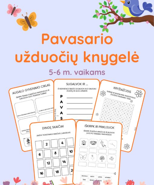 Pavasario užduotys 5-6 metų vaikams